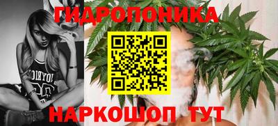 крисы Конаково