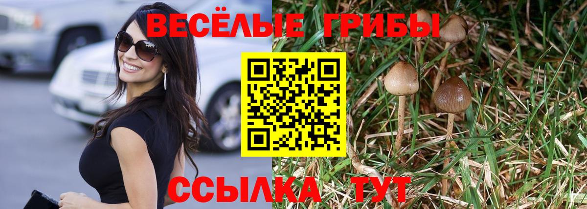 Псилоцибиновые грибы ЛСД  где найти наркотики  Еманжелинск  Вход с VPN 